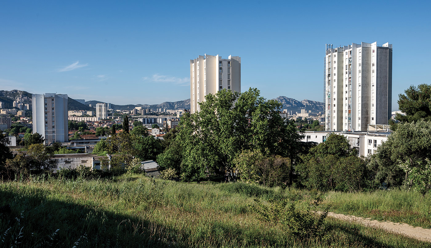 Illustration-thème-Habitat---Crédit-François-Moura--MAMP