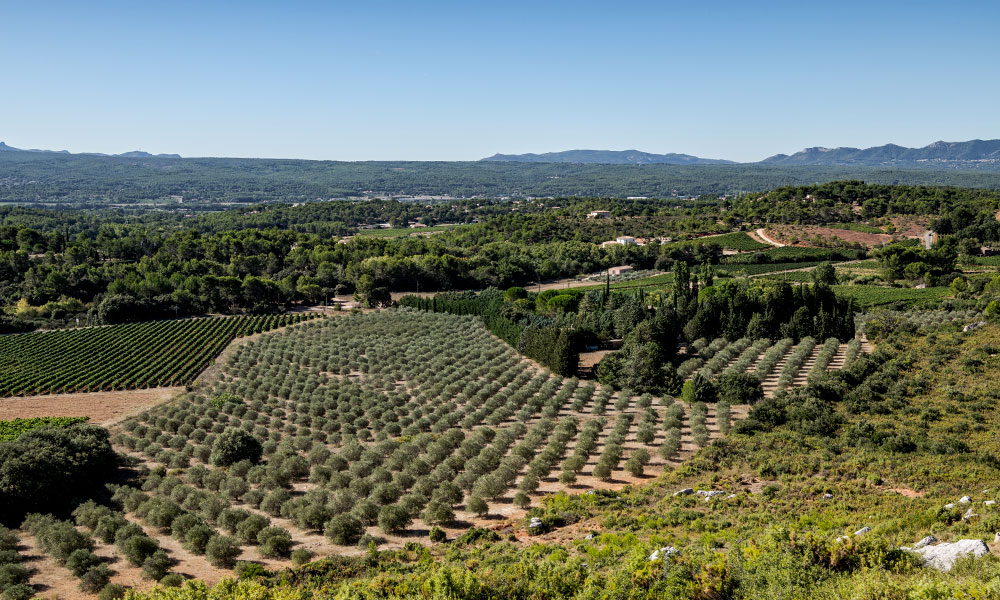 Rousset-2