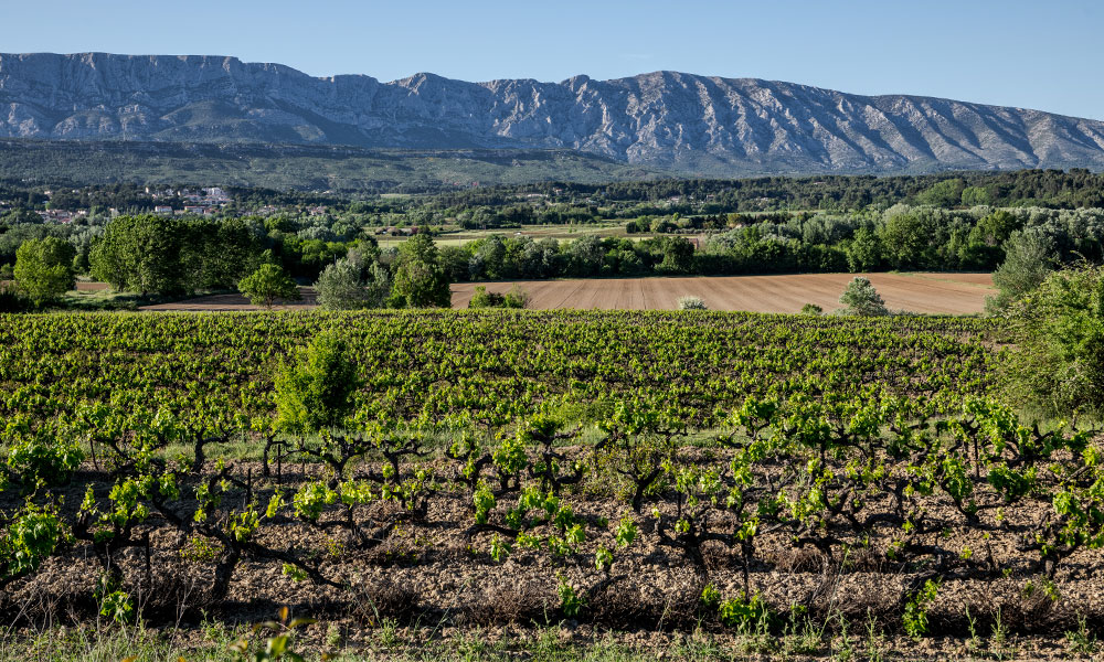 Rousset-3