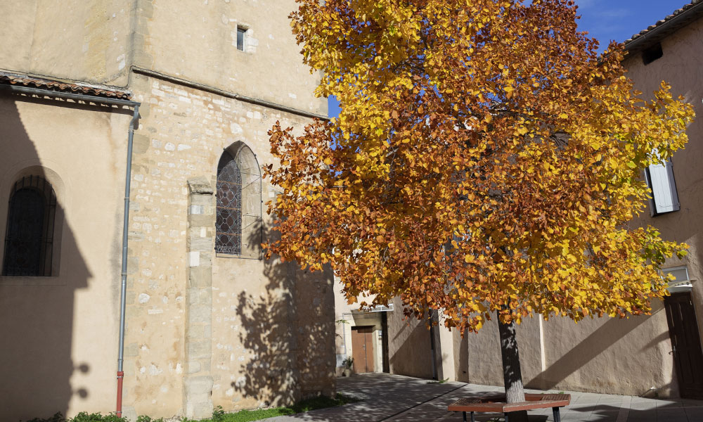Aubagne- Place musée