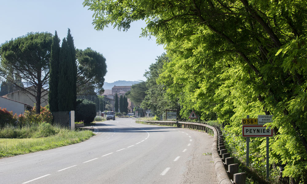 Peynier-6