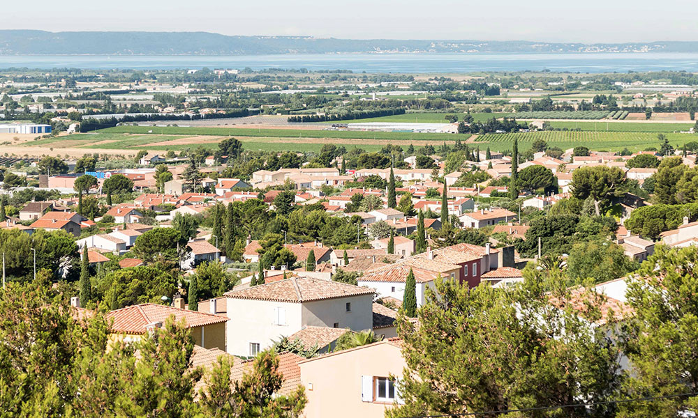 La-fare-les-oliviers-2