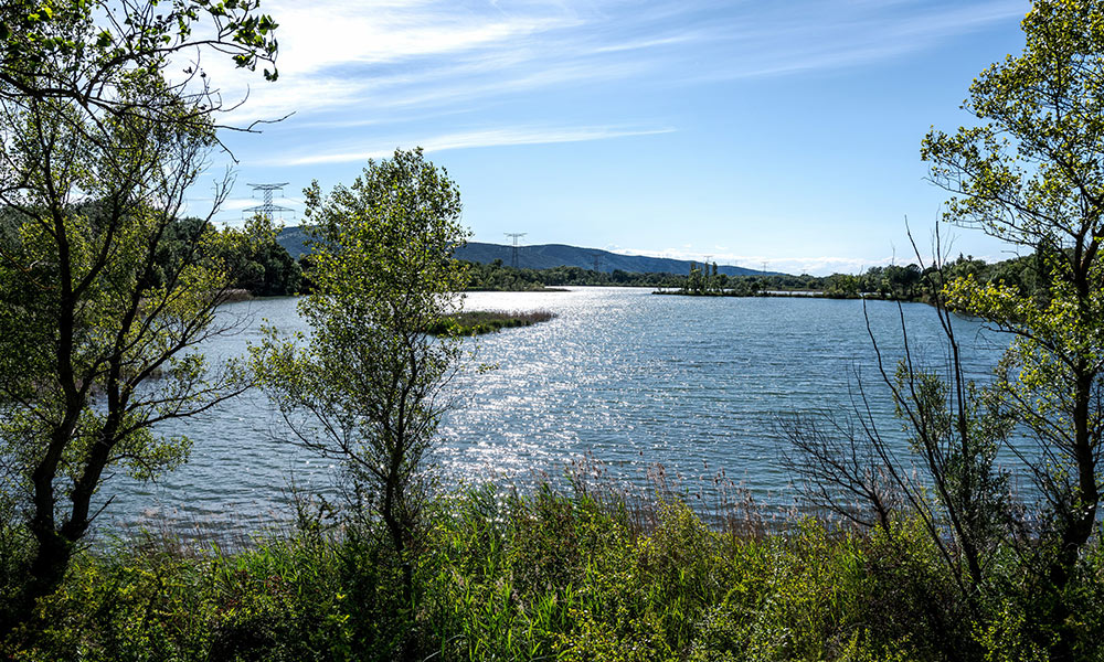le-puy-2