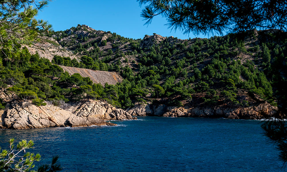 Ensues-la-redonne-4